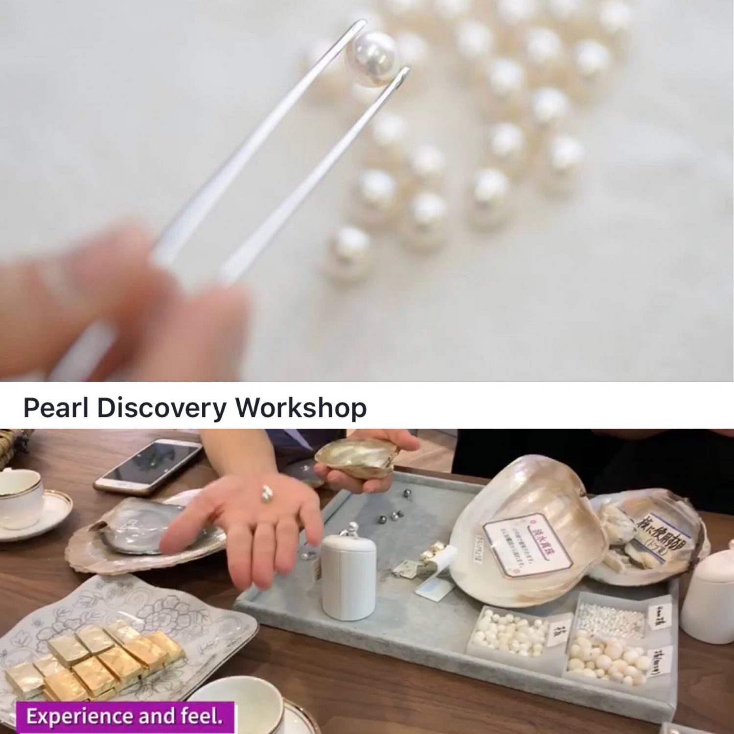 Pearl Discovery Workshop Start in Singapore シンガポールで真珠についてのWorkshop開始