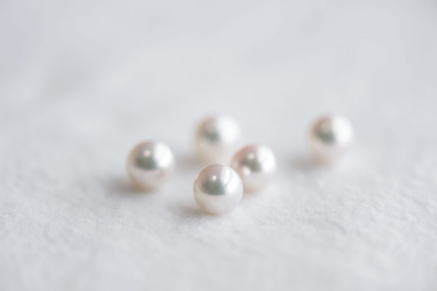 Gem of Japan – Charm of Akoya pearls 「Akoya pearls and Freshwater pearls」